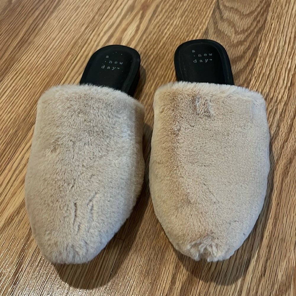 A New Day Fur Slides